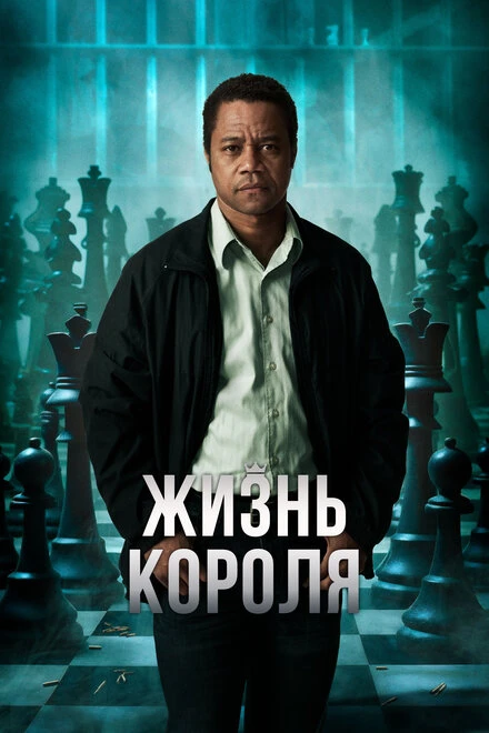 Постер Жизнь короля 2013