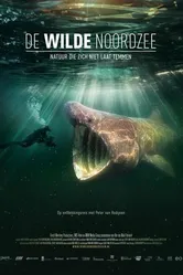 Дикое Северное море 2024 постер