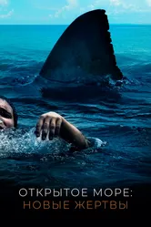 Открытое море: Новые жертвы 2010 постер