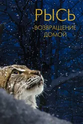 Рысь. Возвращение домой 2022 постер