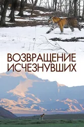 Возвращение исчезнувших 2023 постер