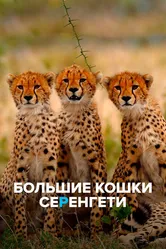 Большие кошки Серенгети 2019 постер
