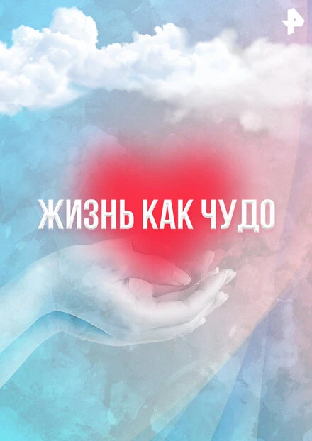 Постер Жизнь как чудо 2011