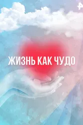 Жизнь как чудо 2011 постер