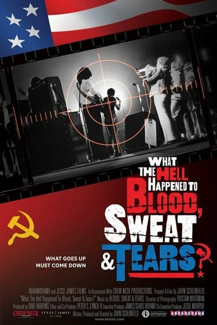 Постер What the Hell Happened to Blood, Sweat & Tears?