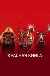 Красная книга 2022 постер