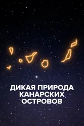 Дикая природа Канарских островов 2021 постер