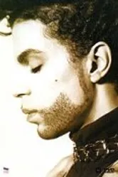 Prince: The Hits Collection постер