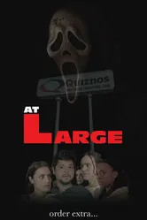 At Large постер
