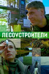 Лесоустроители 2019 постер