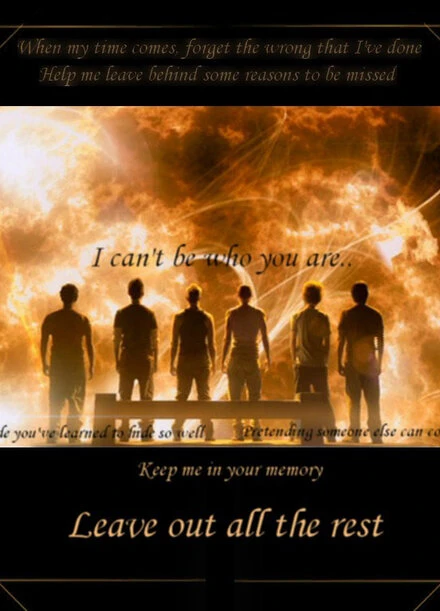 Постер Linkin Park: Leave Out All the Rest