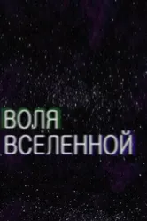 Воля Вселенной 2013 постер