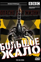 BBC: Большое жало 2004 постер