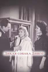 Дикая собака динго 1962 постер