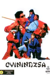 Детсадовский ниндзя 1994 постер
