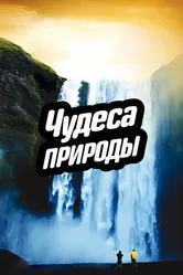 Чудеса природы 2012 постер