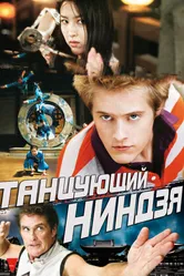 Танцующий ниндзя 2010 постер