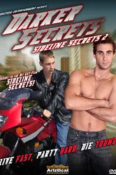 Темные секреты 2008 постер