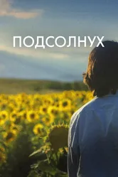Подсолнух 2023 постер