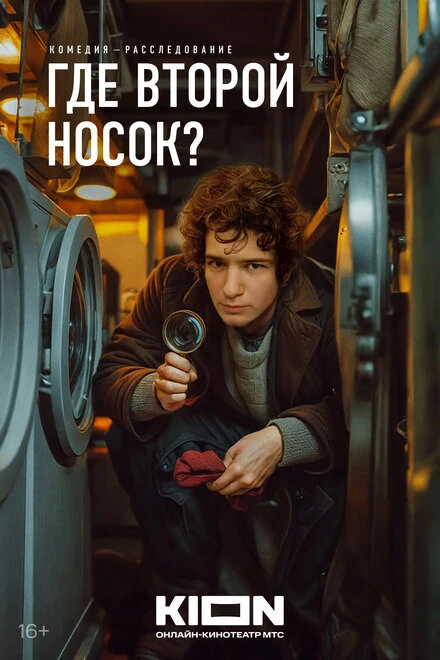 Постер Где второй носок? 2024