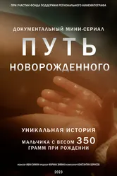 Путь новорожденного 2024 постер