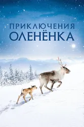 Приключения олененка 2018 постер