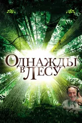 Однажды в лесу 2013 постер