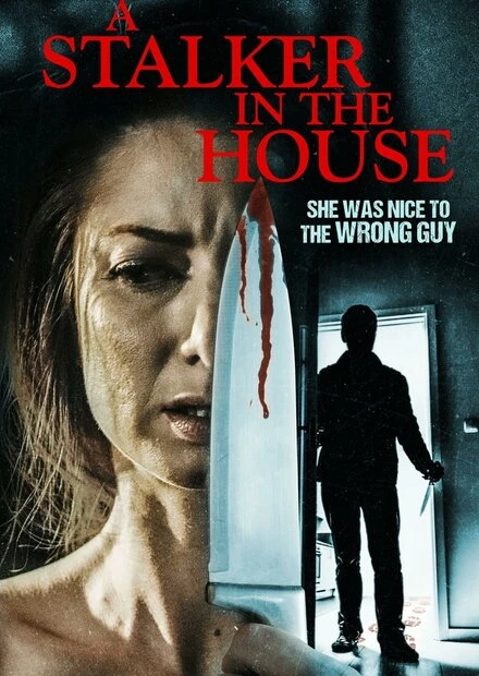 Постер A Stalker in the House