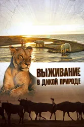 Выживание в дикой природе 2015 постер