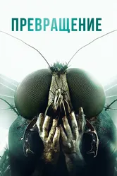 Превращение 2012 постер