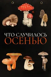 Что случилось осенью 2024 постер