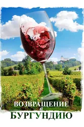Возвращение в Бургундию 2016 постер