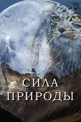 Сила природы 2020 постер