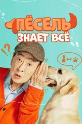Пёсель знает всё 2024 постер