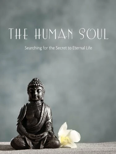Постер The Human Soul