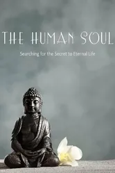 The Human Soul постер