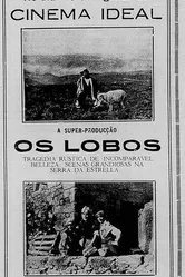 Волки 1923 постер