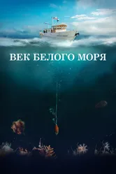 Век Белого моря 2023 постер