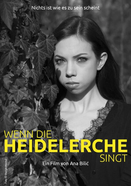 Постер Wenn die Heidelerche singt