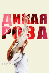 Дикая Роза 2018 постер