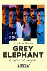 Grey Elephant постер