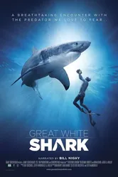 Great White Shark постер