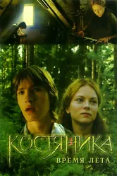 КостяНика. Время лета 2006 постер