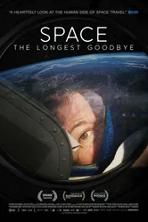 The Longest Goodbye постер