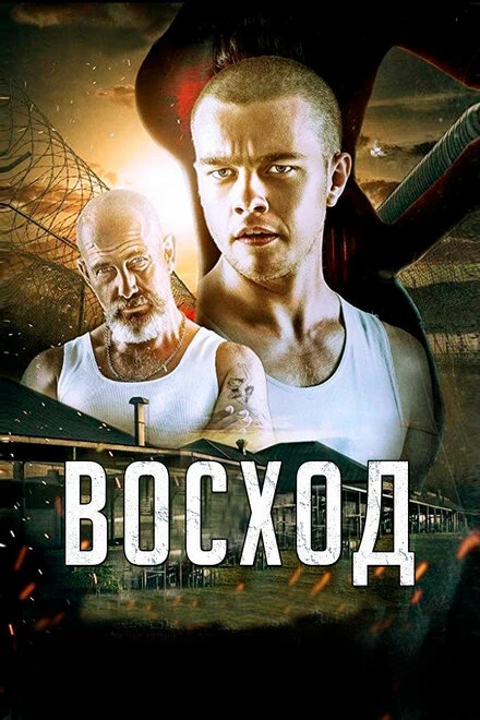 Постер Восход 2014