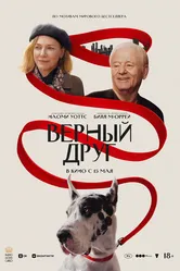 Верный друг 2024 постер