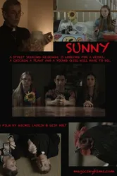 Sunny null, США постер
