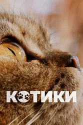 Котики 2022 постер