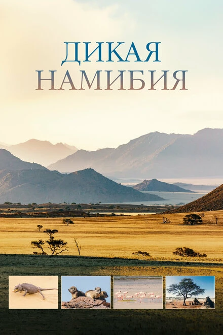 Постер Дикая Намибия 2023