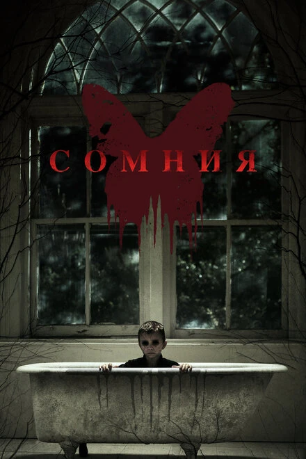 Постер Сомния 2014